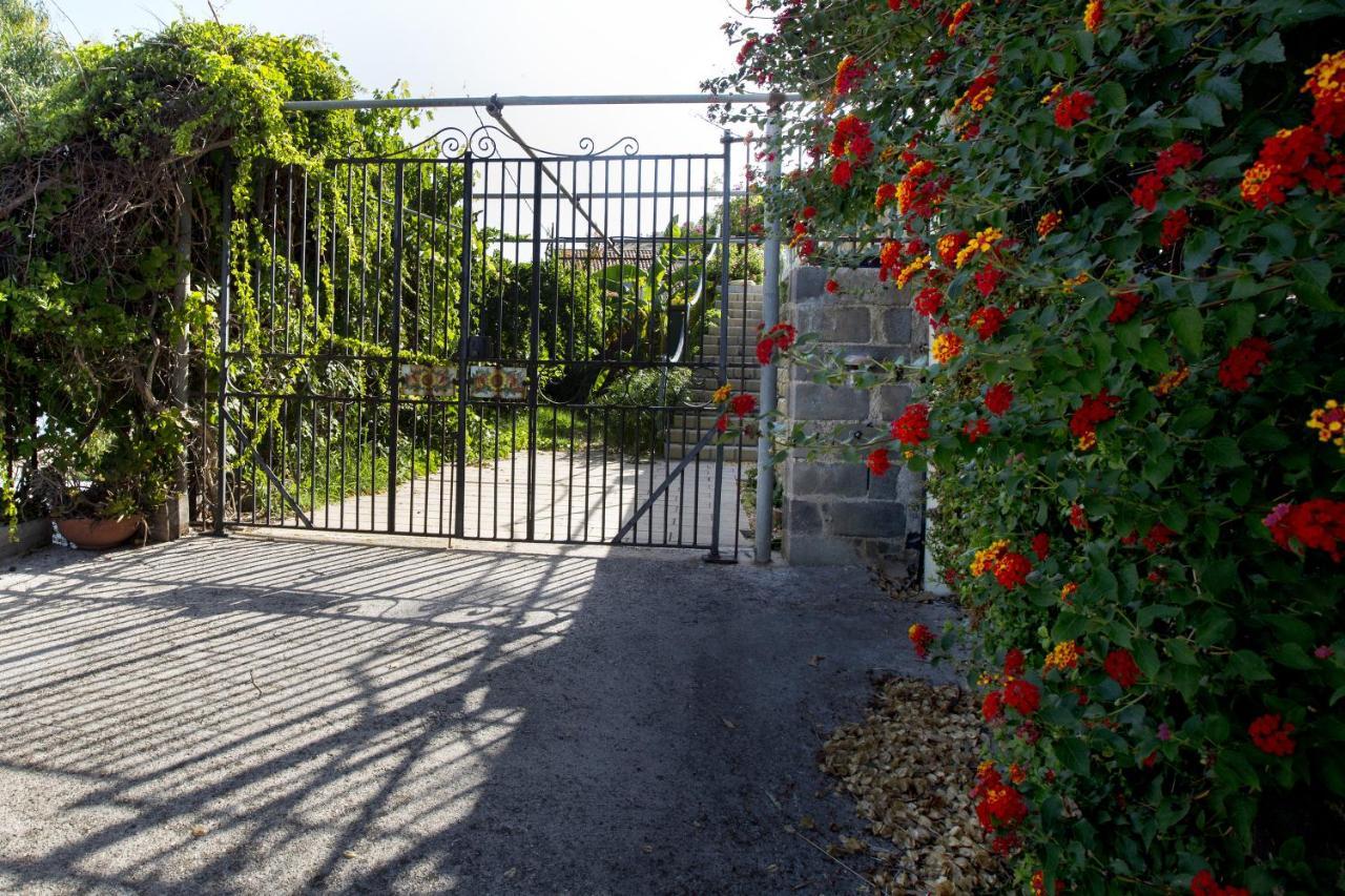 Villa Con Piscina Vista Mare Santo Stefano  Esterno foto